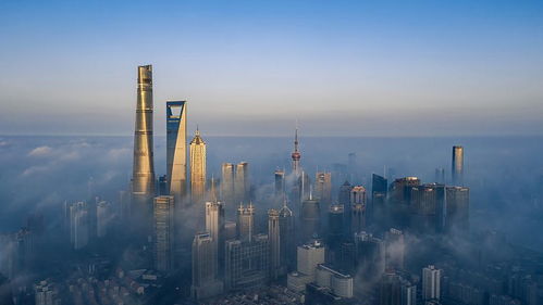 上海 到2027年生物医药企业国际化发展能力进一步提升,药械产品出口额超500亿元