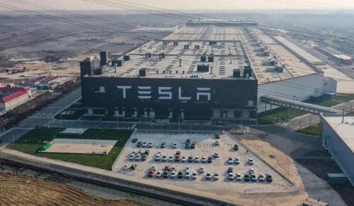特斯拉model 3销量暴跌75 ,罪有应得还是另有其因