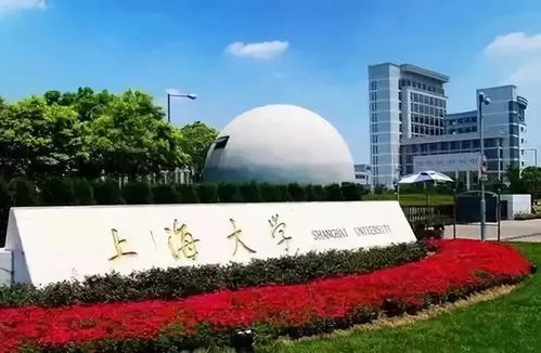 2021年上海大学汉硕考研学姐 优秀 初试成绩 400